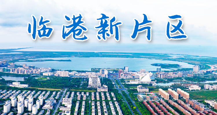 关于中国（上海）自贸试验区临港新片区重点产业企业所得税政策的通知