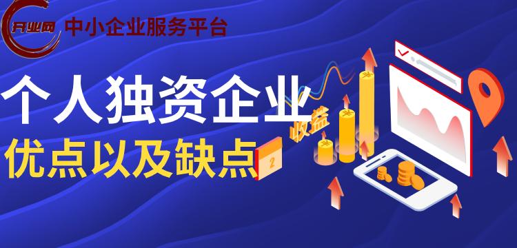 个人独资企业的优点以及缺点