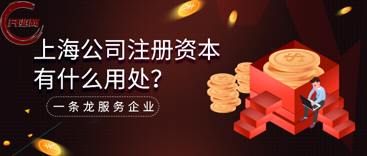 上海公司注册资本有什么用处?