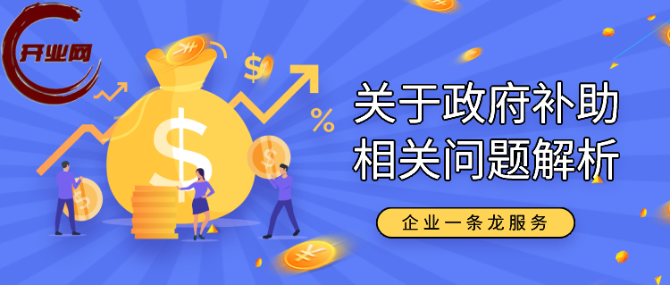 关于政府补助相关问题解析