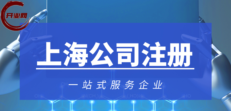 上海闵行区线上注册公司流程指南